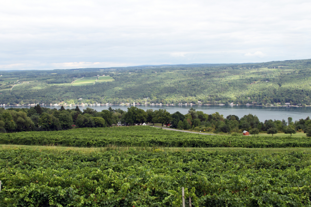 New York State Finger Lakes Wine Country